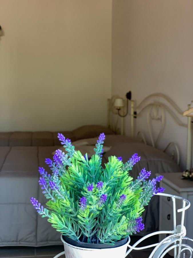 Bed and Breakfast Barsentello Ночі Екстер'єр фото